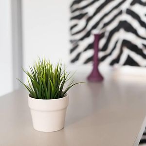 Studio Appartement